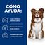 12 kg Hill's Prescription Diet Derm Defense Pollo pienso para perros, , large indicador imagen numero 4